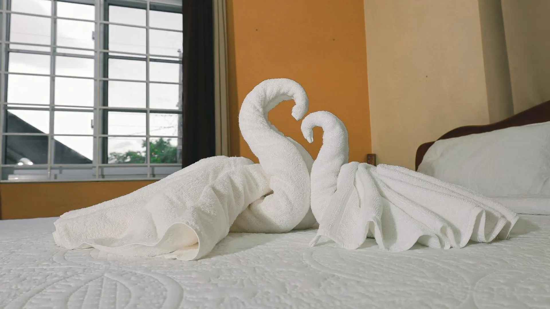 Bed & Breakfast Ivs Bed And Breakfast Kingston